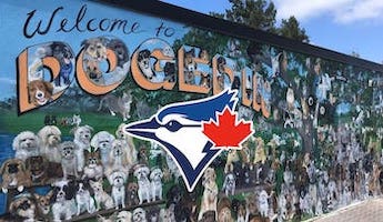 Spring Training Diaries: Prologue