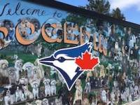 Spring Training Diaries:&nbsp;Prologue